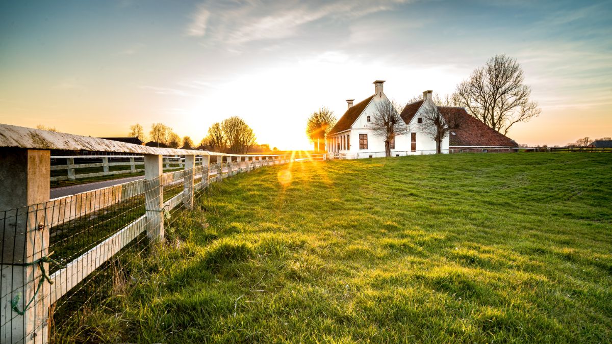 Rural guard watching over a farm estate